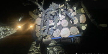 Поліція викрила незаконну вирубку лісу