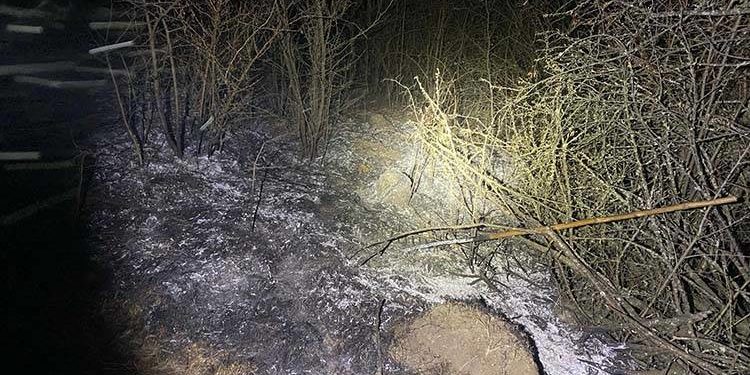 Згоріла жінка