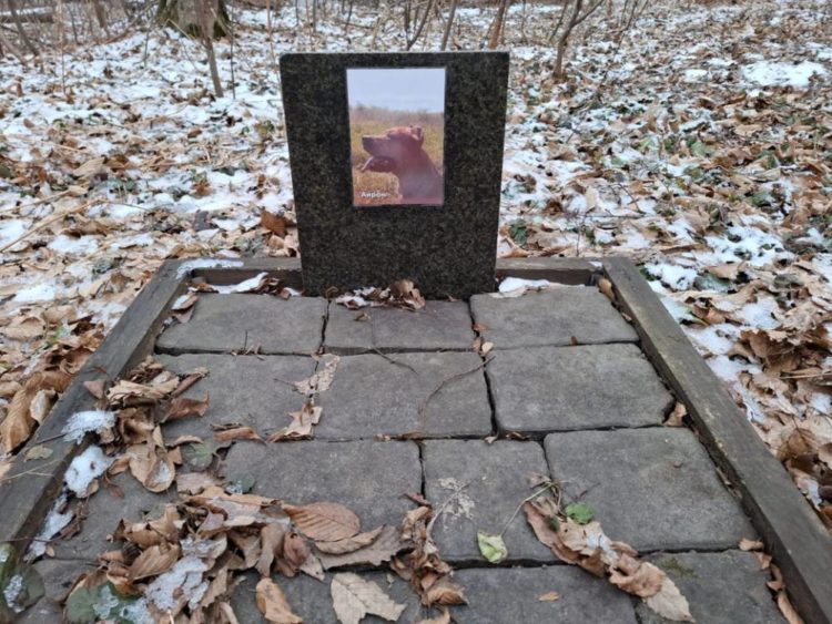 Цвинтар тварин