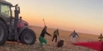 жорстоке поводження з твариною