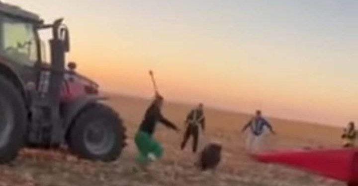 жорстоке поводження з твариною