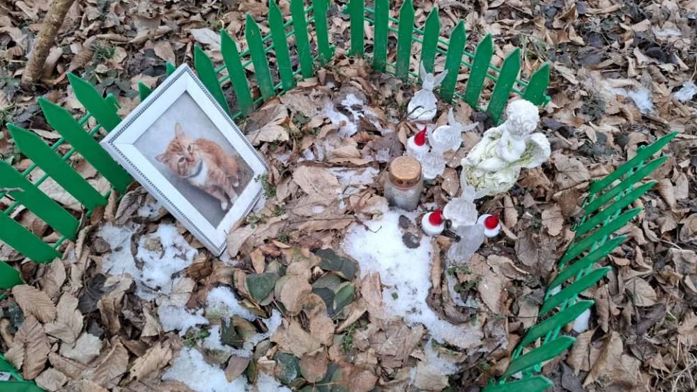 Цвинтар тварин