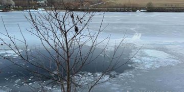 Поліція розшукала дитину