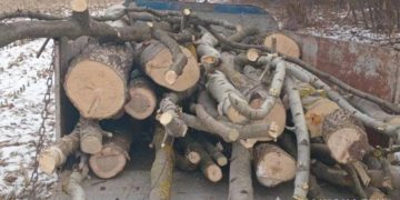 Затримали крадіїв дров