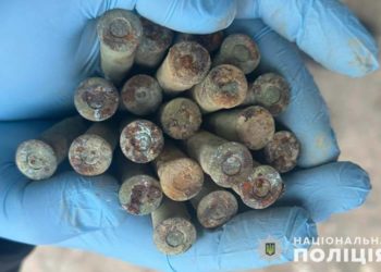 Поліція вилучила незаконну зброю