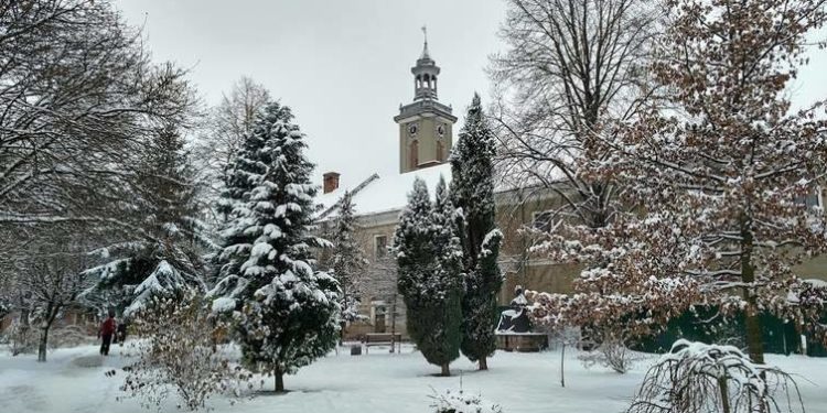 Ратуша в Бережанах