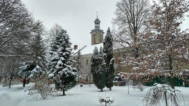 Ратуша в Бережанах