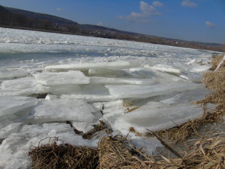 Льодохід на Дністрі вражає жителів Тернопільщини своєю красою