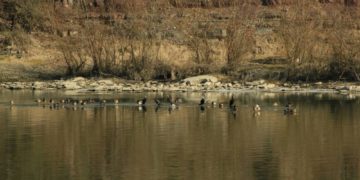 Почалися сплави на Дністрі