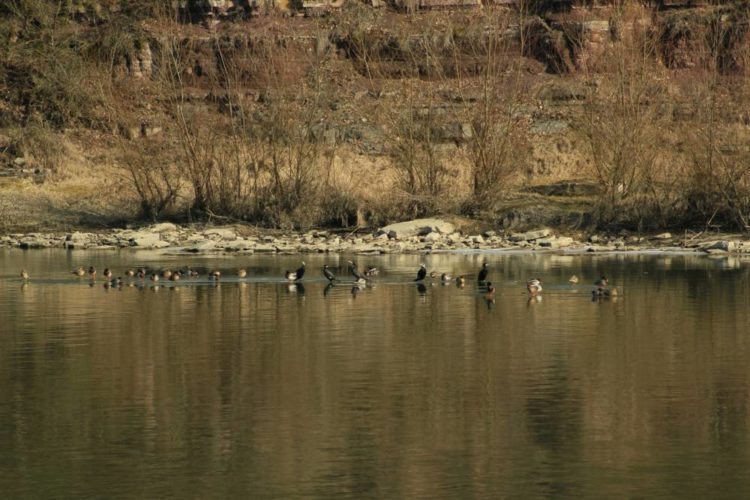 Почалися сплави на Дністрі