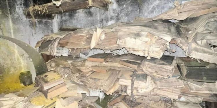 Священник знайшов архів