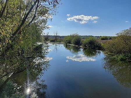 Незаконне переоформлення землі
