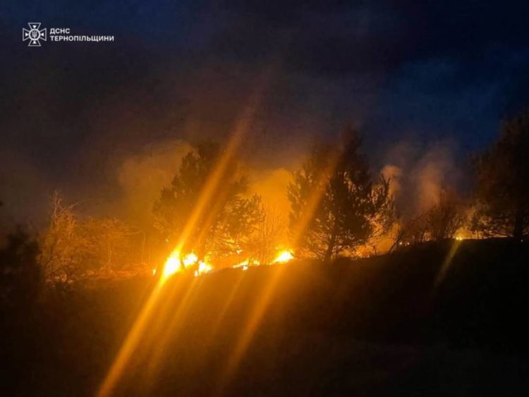 Пожежа на Тернопільщині