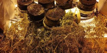 Поліція виявила наркотики