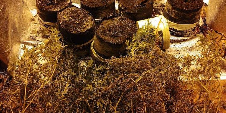 Поліція виявила наркотики