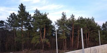 Пропонував хабар поліції