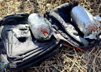 Поліція затримала диверсантів