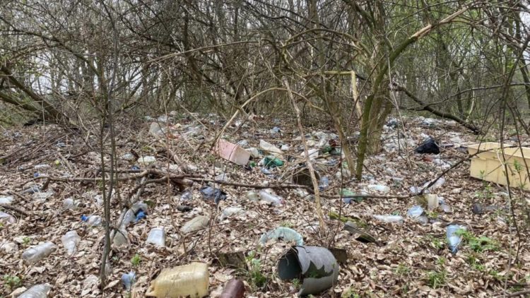 жителі села Звенигород