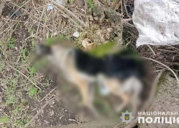 Жорстоке вбивство тварин