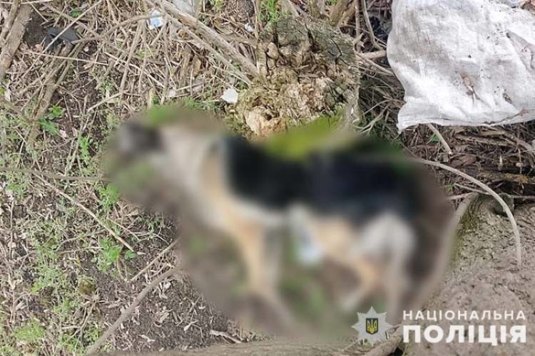 Жорстоке вбивство тварин