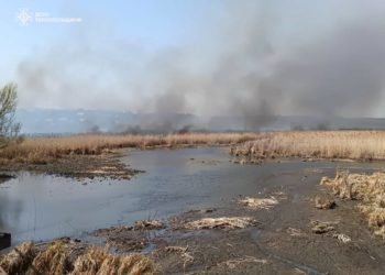 пожежа в Плотичі