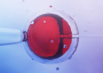 ЕКЗ (екстракорпоральне запліднення): Реальний шанс для кожної пари