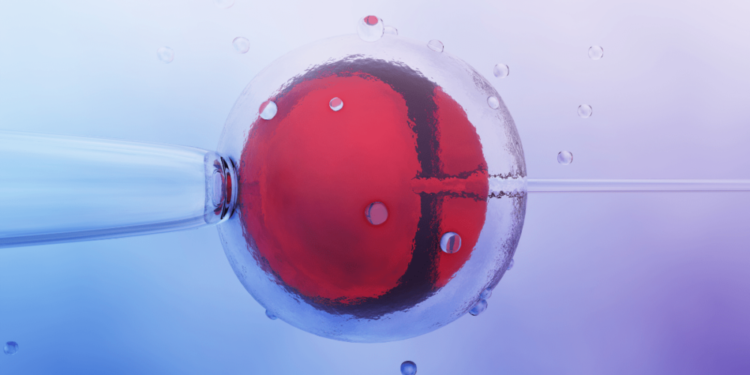 ЕКЗ (екстракорпоральне запліднення): Реальний шанс для кожної пари