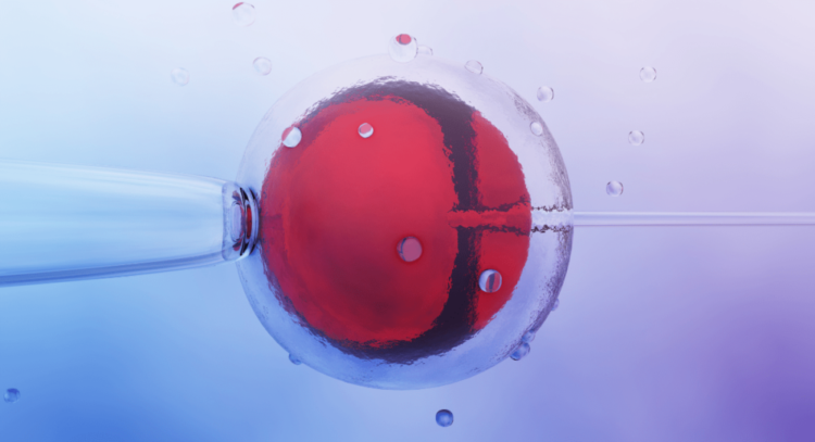 ЕКЗ (екстракорпоральне запліднення): Реальний шанс для кожної пари