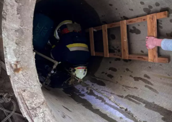 Рятувальники спасли пса