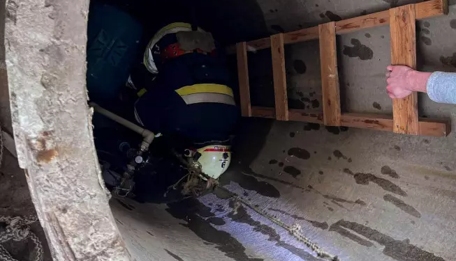 Рятувальники спасли пса