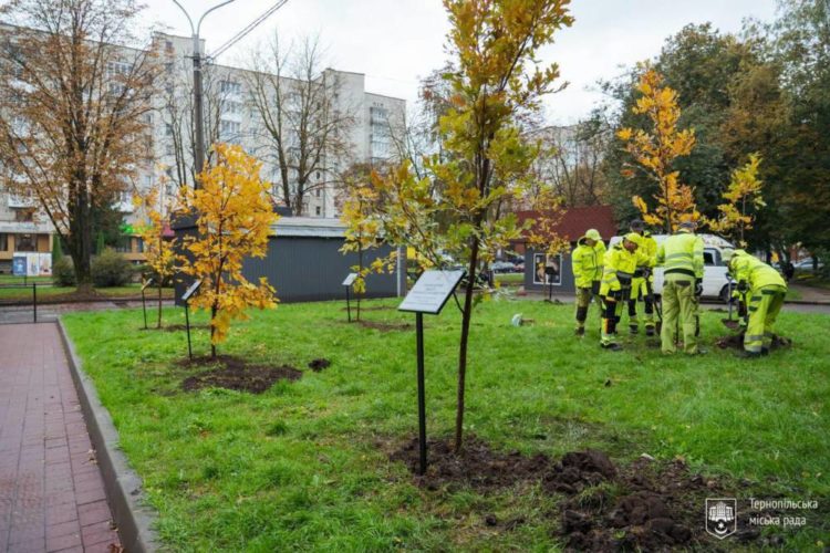 У Тернополі триває благодійна акція «Підтримай ЗСУ – Посади іменне дерево»