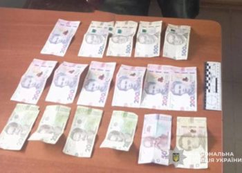 В Гусятинській громаді чоловік пограбував будинок 79-річної пенсіонерки