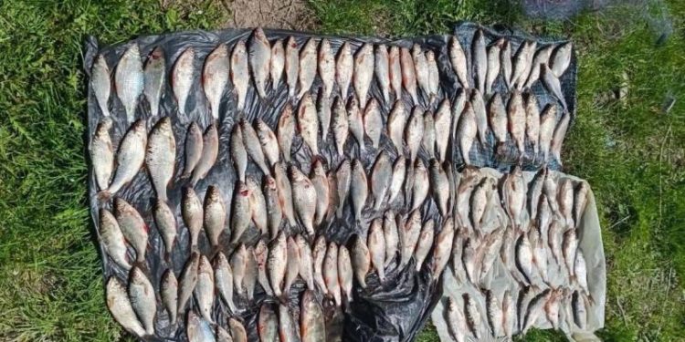 Зловили браконьєрів