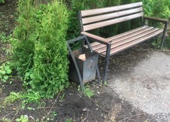 Вандали викрали туї