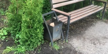 Вандали викрали туї