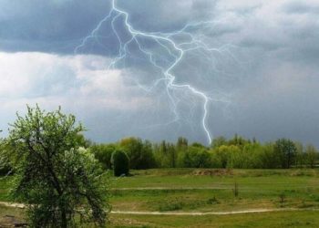 на перші дні літа