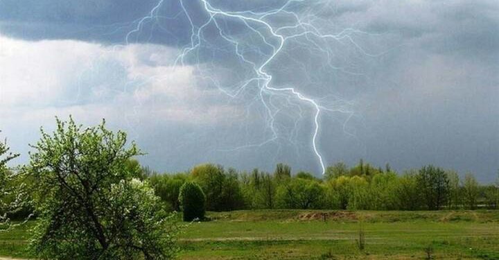 на перші дні літа