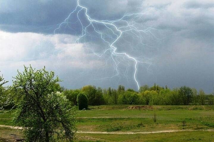 на перші дні літа