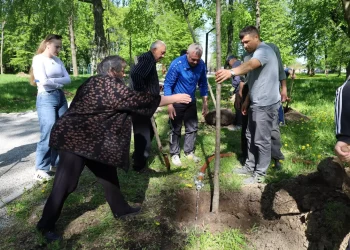 Висадили алею пам'яті