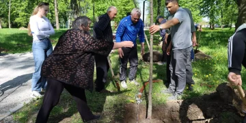 Висадили алею пам'яті