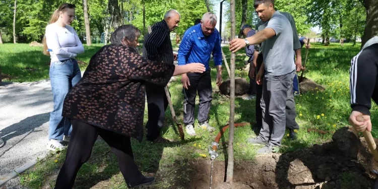 Висадили алею пам'яті