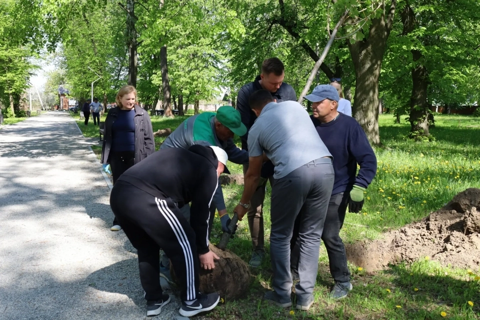 Висадили алею пам'яті