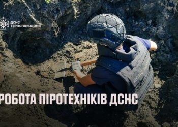 Піротехніки виявили боєприпаси