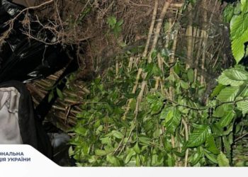 Поліція затримала крадійку