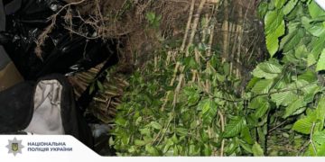 Поліція затримала крадійку