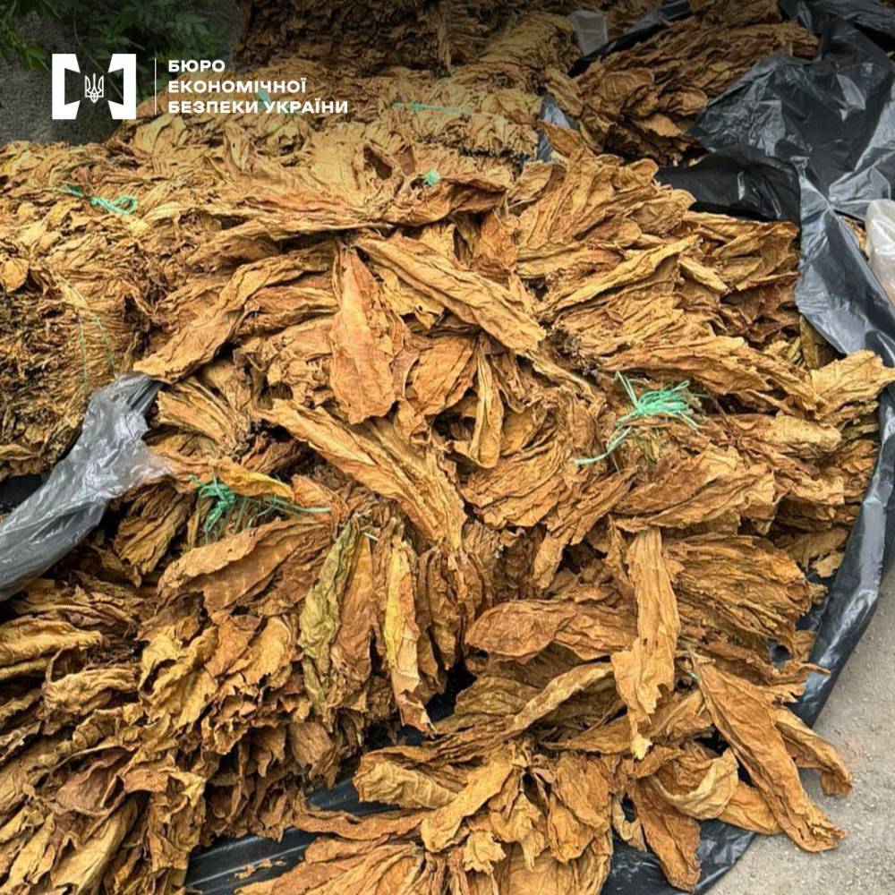 Виявили незаконне виробництво тютюну