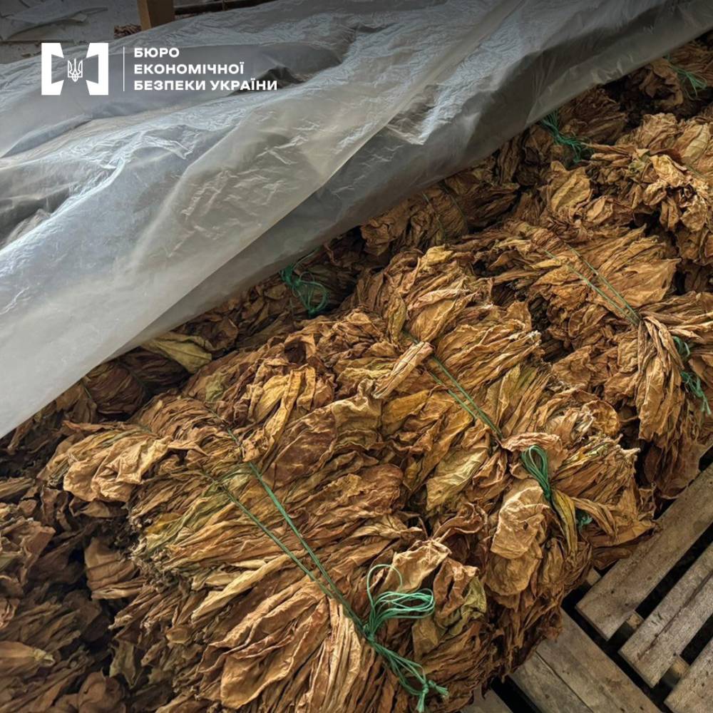 Виявили незаконне виробництво тютюну