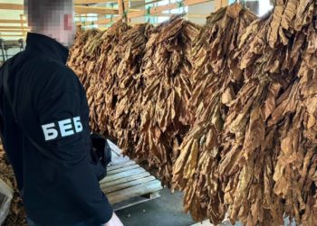 Виявили незаконне виробництво тютюну