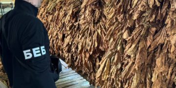 Виявили незаконне виробництво тютюну