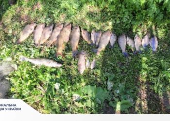 Поліція затримала браконьєра